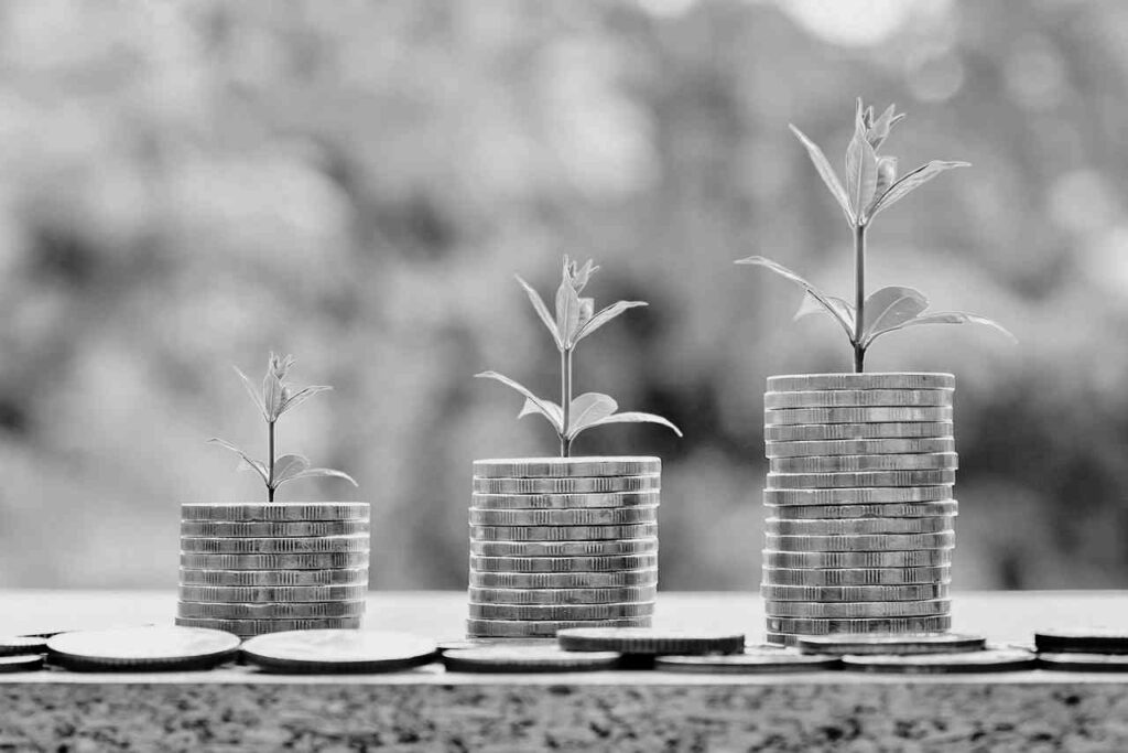 plantes poussant sur des pièces de monnaie